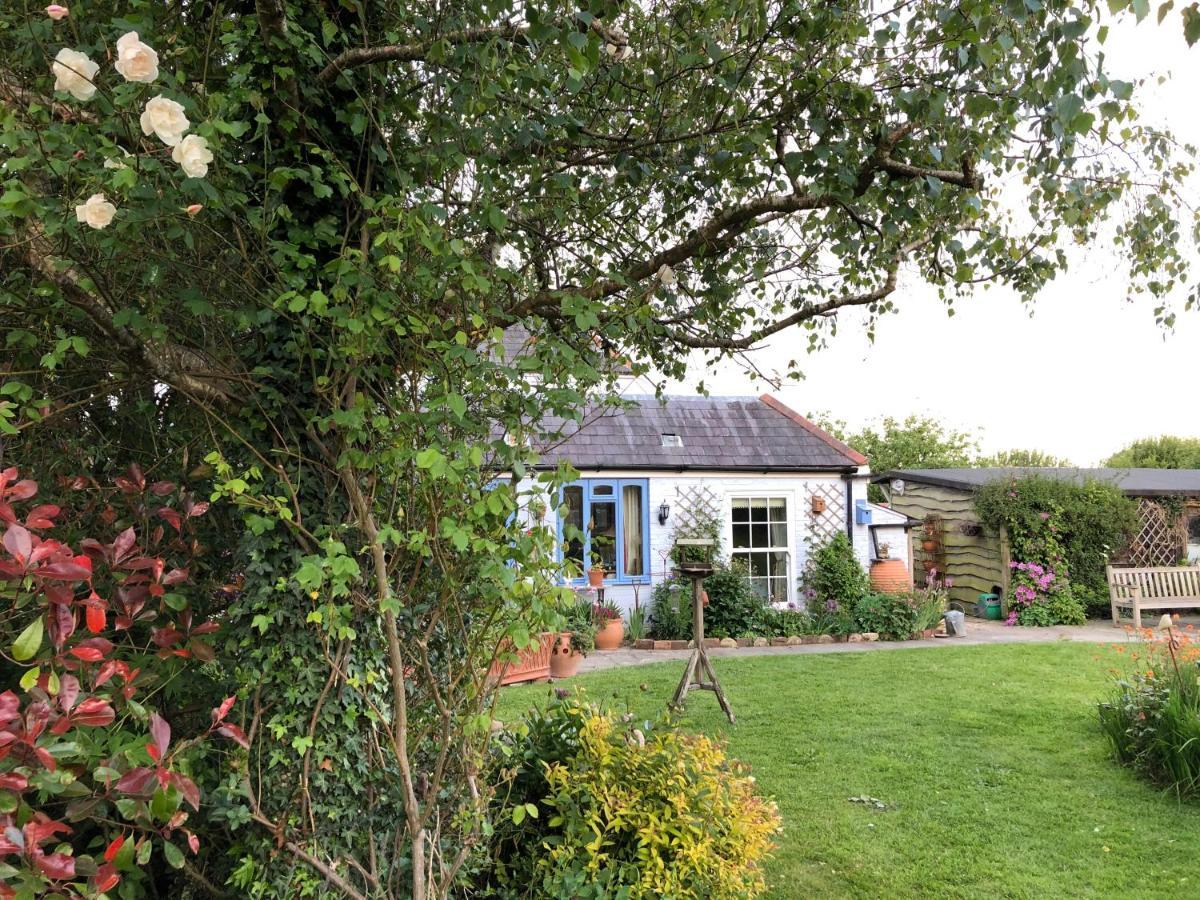 Cosy Cottage Ground Floor Bedroom Ensuite With Private Entrance Chichester Exterior foto